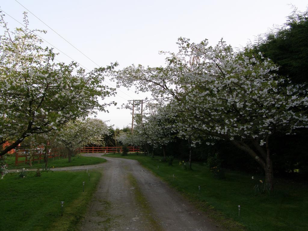 Killurin Lodge Ballyvolane Exterior foto