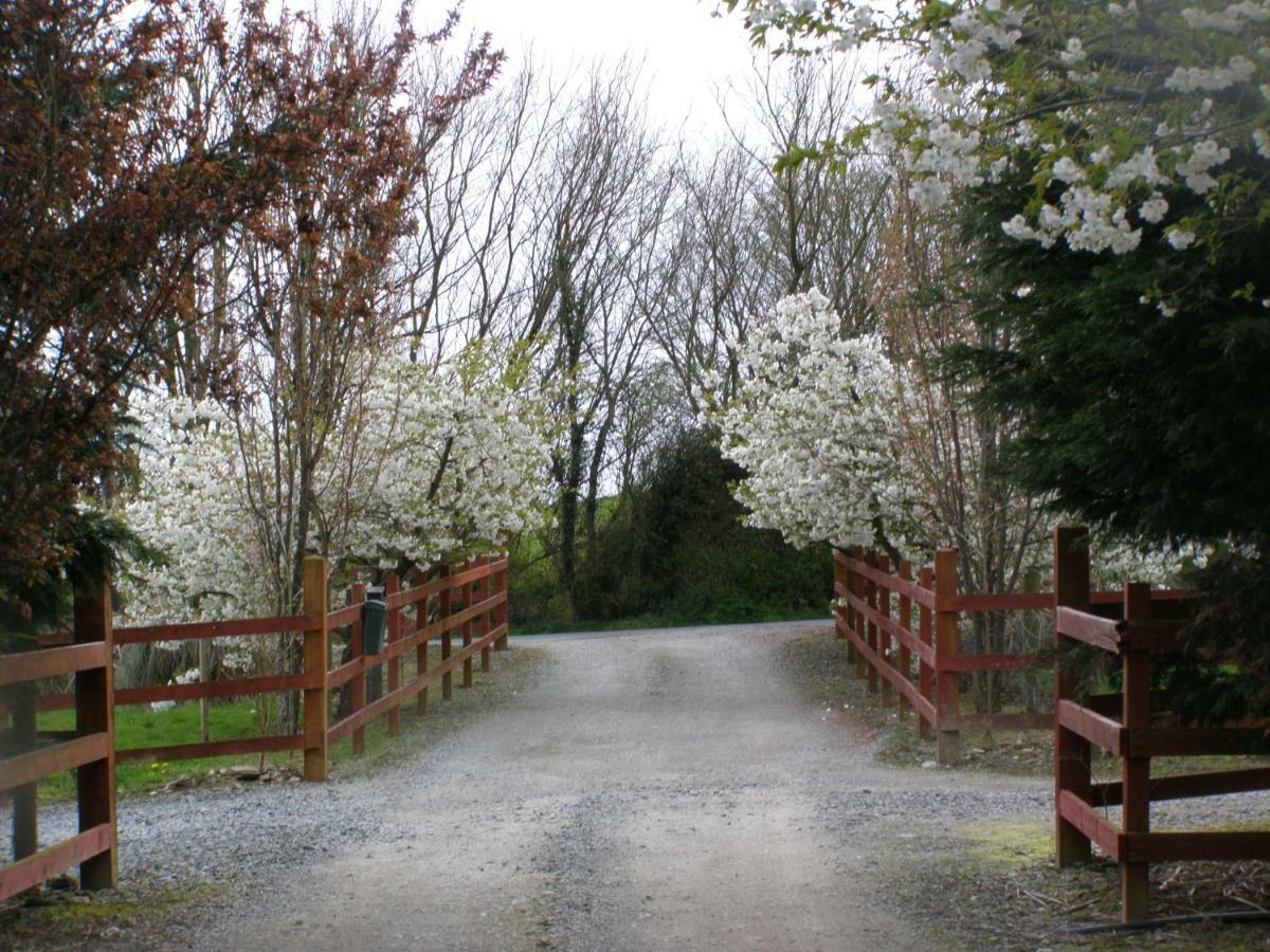 Killurin Lodge Ballyvolane Exterior foto